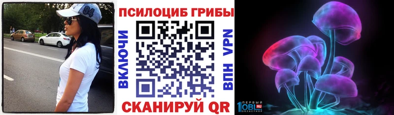 Купить Дмитриев Галлюциногенные грибы Cubensis